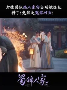 《蜀锦人家》：剧情老套，服化道不足，仅6分剧集
