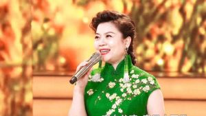 汤灿失踪谜团：民歌天后政界丑闻，真相成谜！