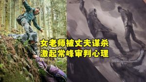 猎罪图鉴2：艺术心理探案，人性光影交织