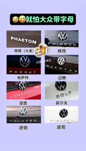 带字母大众车：高端配置与身份象征