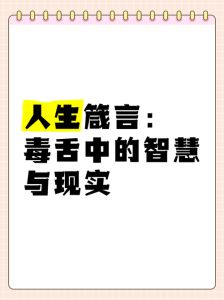 揭秘毒舌智慧 不带脏字的狠话解析
