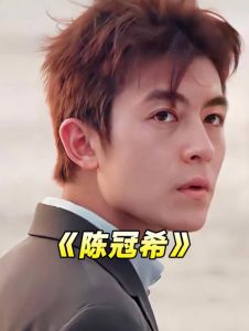 求网盘资源陈冠希1400张照片，陈冠希艳照泄露引发震动，当事人遭遇与隐私警示