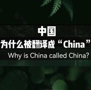 china公会，YYChina公会老板娘徐梦尧回归运营，签约神豪一叶知秋支持