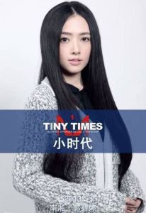 小时代电视剧什么时候上映，《小时代》电影票房成功，未改电视剧，未来待定