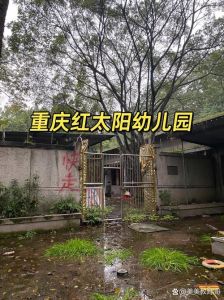 20年前红太阳幼儿园的样子，老照片曝光！爬满爬山虎的红太阳幼儿园，你还记得吗？