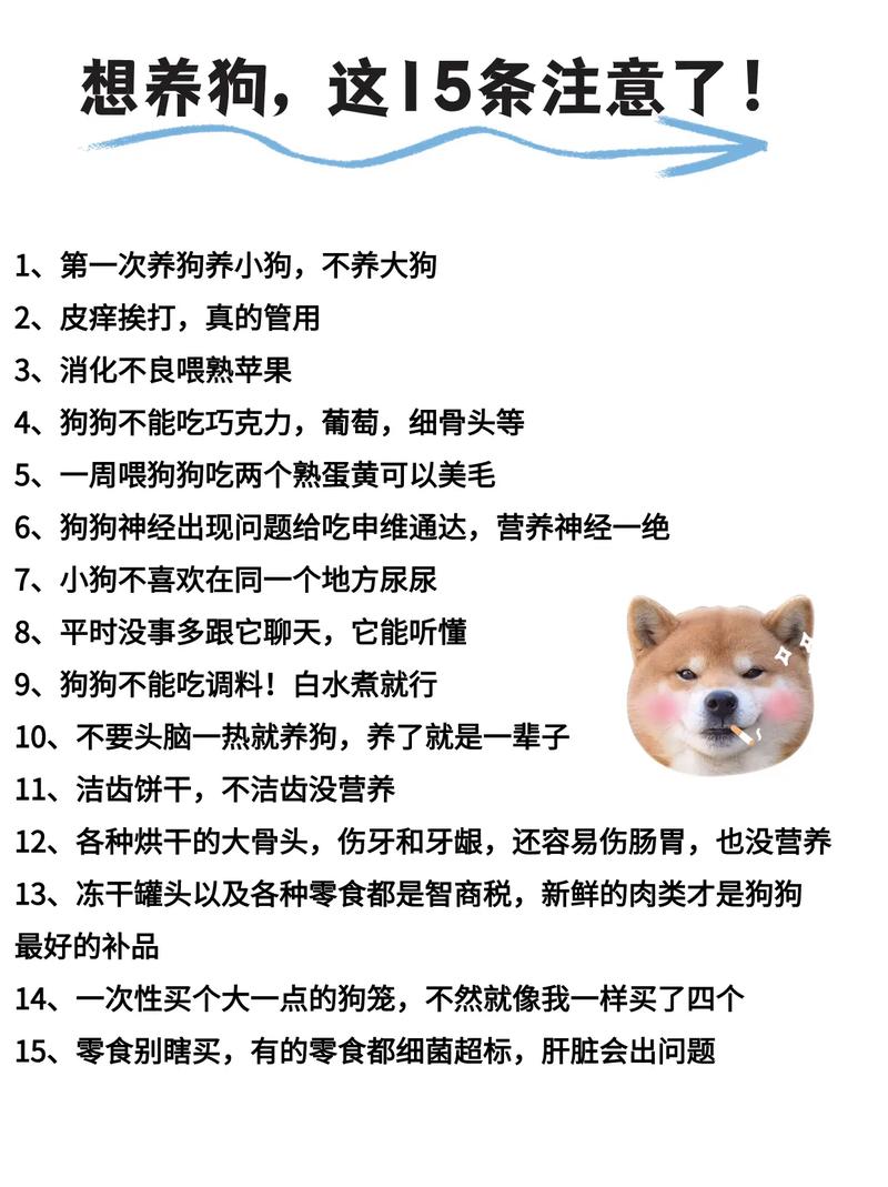 新手养狗基础知识_带狗狗回家前评估好，健康饮食勤清洁，疫苗驱虫不可少，责任重大需谨慎
