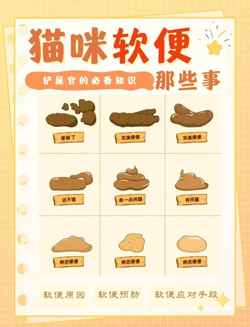 母猫多久不吃小猫大便_小猫食粪怎么办?3周内正常,超8周警惕,科学引导90%见效 母猫多久不吃小猫大便_小猫食粪怎么办?3周内正常,超8周警惕,科学引导90%见效