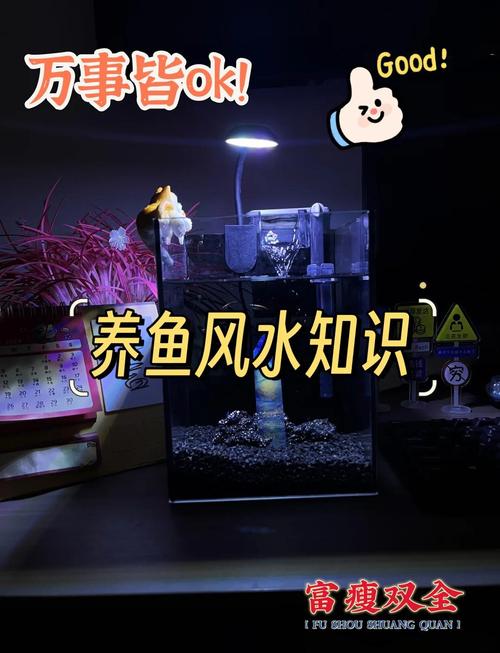 养鱼需要注意什么风水_选对鱼缸形状风水好，别放沙发后厨灶旁