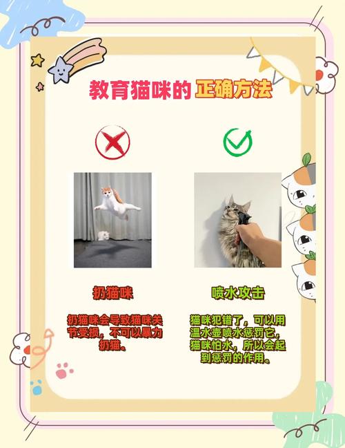 怎么教小猫规矩_防止猫咪乱踩乱跳,试试响罐玩具胶带或栅栏! 怎么教小猫规矩_防止猫咪乱踩乱跳,试试响罐玩具胶带或栅栏!