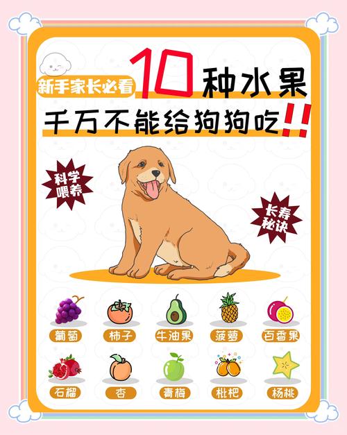 狗狗禁忌食物一览表最新版本_巧克力葡萄坚果咖啡酒狗狗忌，误食速送医科学喂养保健康