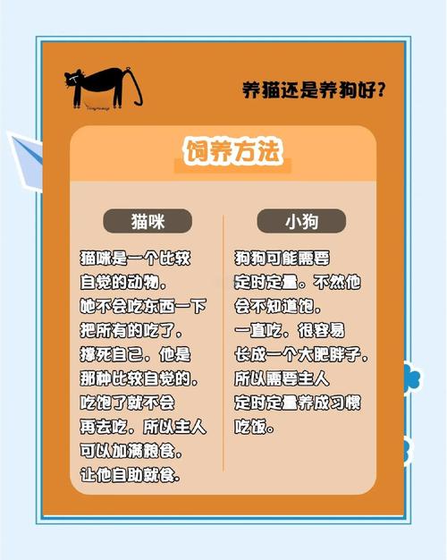 第370期线上领养,流浪猫狗待家,健康情况全介绍 第370期线上领养,流浪猫狗待家,健康情况全介绍