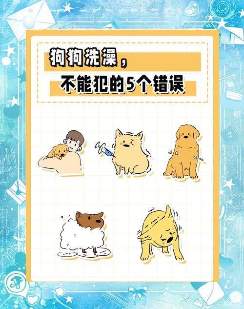 小狗洗澡注意事项_幼犬多久洗一次澡？科学清洁指南