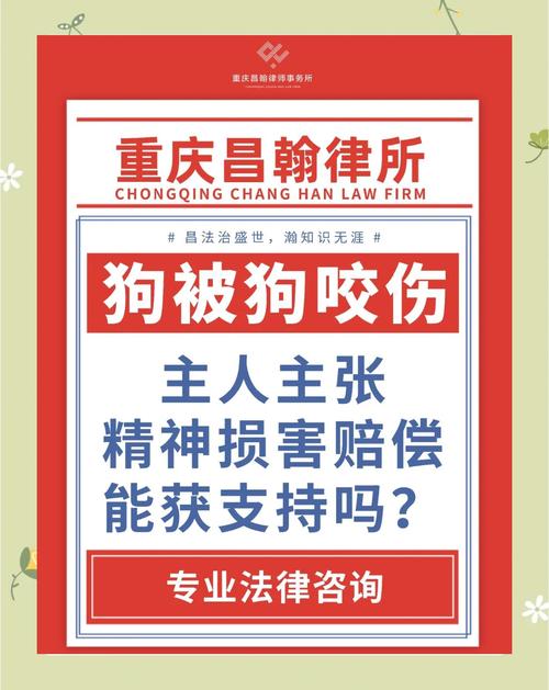 主动去摸狗被咬了谁的责任_主动摸狗被咬谁负责？狗主人和被咬人双方可能都要担责
