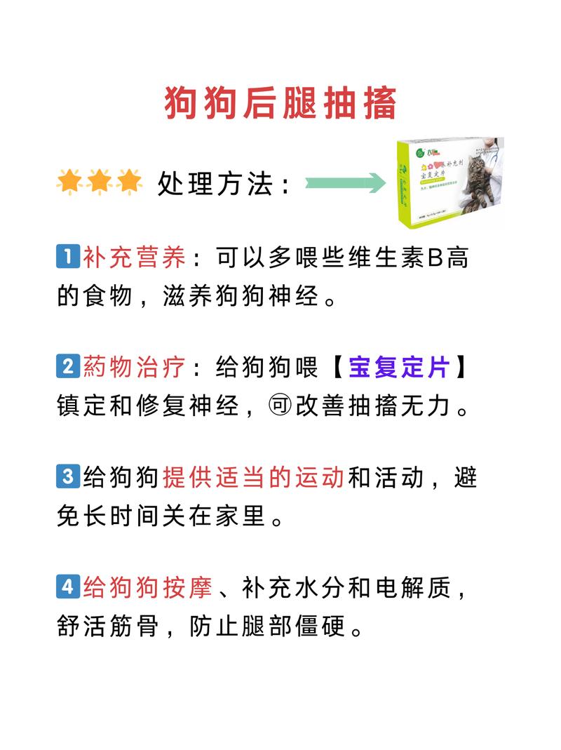 小狗一直抽搐和哀叫是怎么回事_狗狗抽搐怎么办？快看原因和应对方法！
