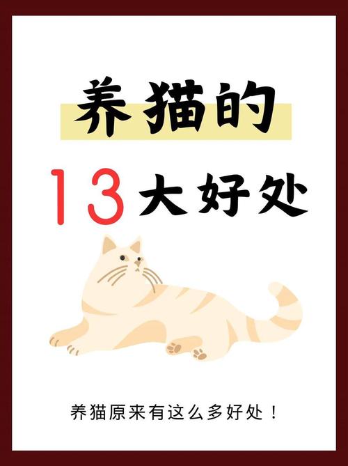 猫养多了运气会差吗_养猫多与运气差？别信迷信，科学告诉你真相！