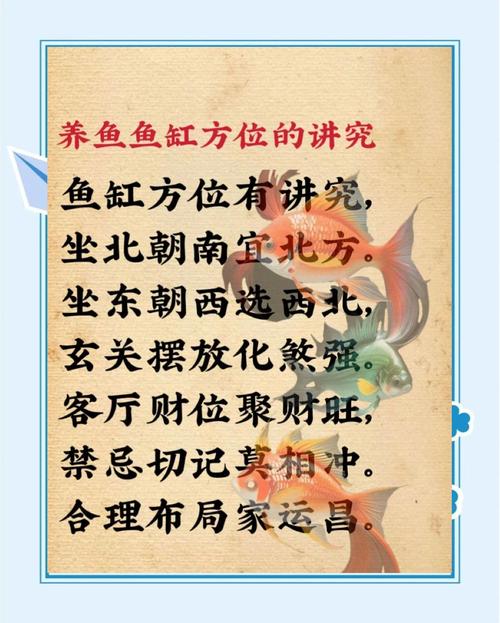 养鱼的风水禁忌_选对鱼缸方位与数量，避讳旺位与电器旁