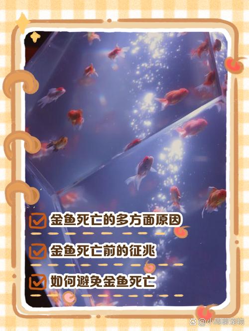 野生小鱼为什么一养就会死_野生小鱼入缸难存活,养鱼需反思 野生小鱼为什么一养就会死_野生小鱼入缸难存活,养鱼需反思