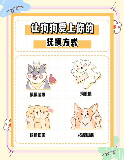 狗狗让你摸头说明什么_狗狗让你摸头,它信任你! 狗狗让你摸头说明什么_狗狗让你摸头,它信任你!