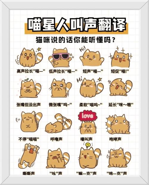 猫叫可以赶吗_野猫叫怎么办?了解原因科学驱赶 猫叫可以赶吗_野猫叫怎么办?了解原因科学驱赶