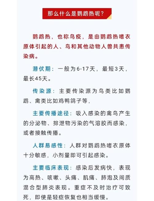 鹦鹉得鹦鹉热的概率_家养鹦鹉感染鹦鹉热的预防要点 鹦鹉得鹦鹉热的概率_家养鹦鹉感染鹦鹉热的预防要点