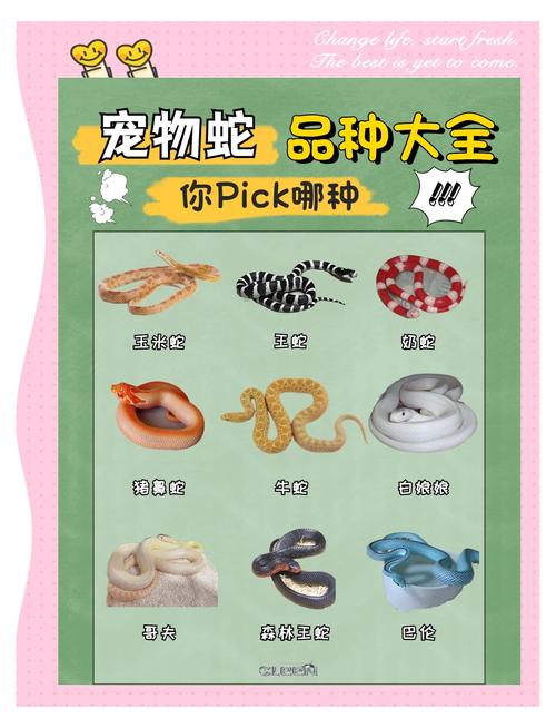 40种蛇图片大全_澳洲最毒最常见，毒性极强但现代医疗可救命