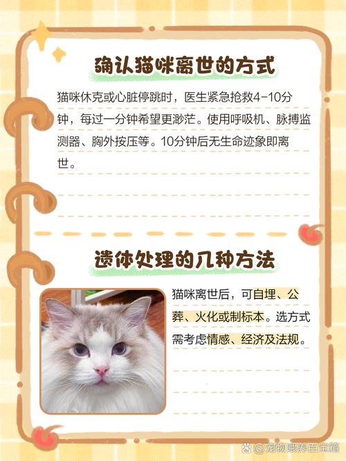猫死了1天身体还是软能救吗,猫咪死后身体会软,不是还活着,需看心跳呼吸判断死亡处理后事,大家会难过,需慢慢走出来 猫死了1天身体还是软能救吗,猫咪死后身体会软,不是还活着,需看心跳呼吸判断死亡处理后事,大家会难过,需慢慢走出来