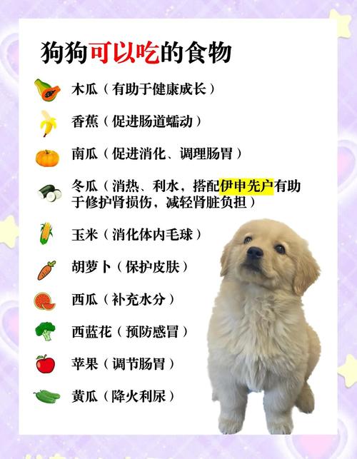 幼犬可以吃零食吗，幼犬喂养全攻略