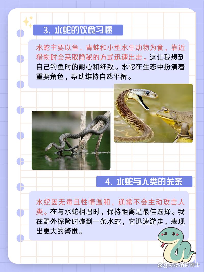 蚂蚁爬进蛇喝的水里对蛇有什么危害，蛇不care，可能是营养？