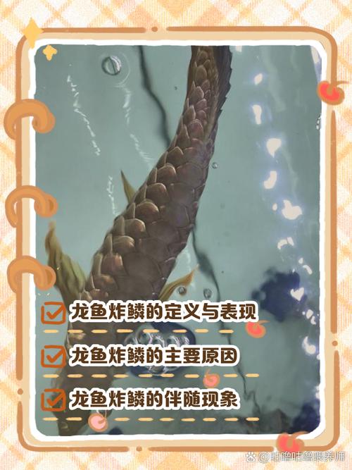 鱼炸鳞肚子大怎么办,鱼炸鳞肚子鼓胀怎么办?分清情况巧处理! 鱼炸鳞肚子大怎么办,鱼炸鳞肚子鼓胀怎么办?分清情况巧处理!