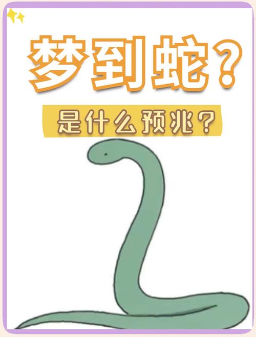 梦到蜥蜴和蛇同时出现，心理变化与环境适应