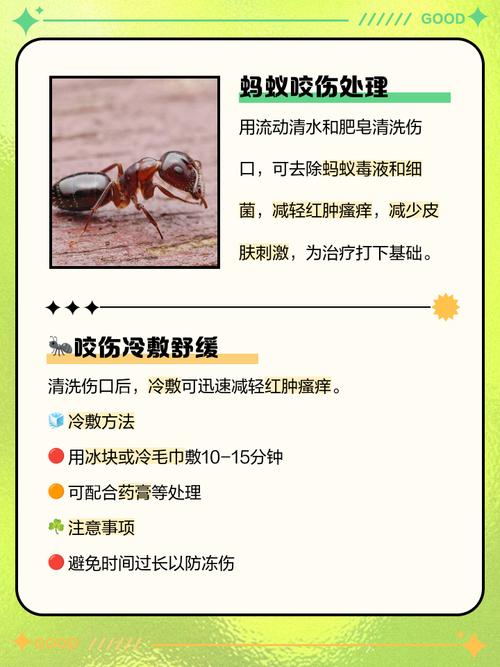 蚂蚁咬了怎么消肿止痒最快，被蚂蚁咬了脚踝？别慌，这几招能救命！