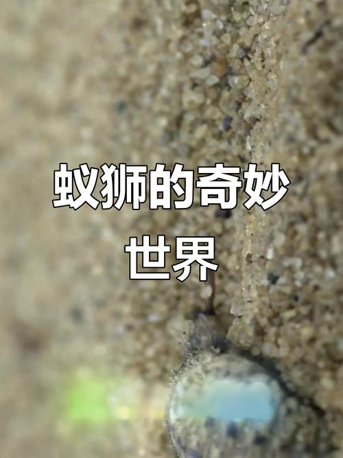 蚂蚁有什么天敌，蚂蚁智慧与防治妙招
