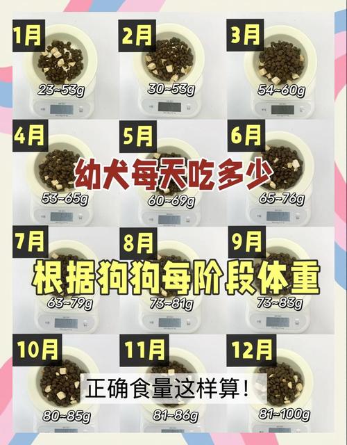 2026亲测狗粮推荐 告别狗狗眼屎多