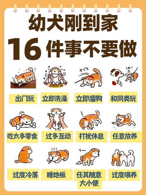流浪狗回家躲沙发？别急，给它点时间！
