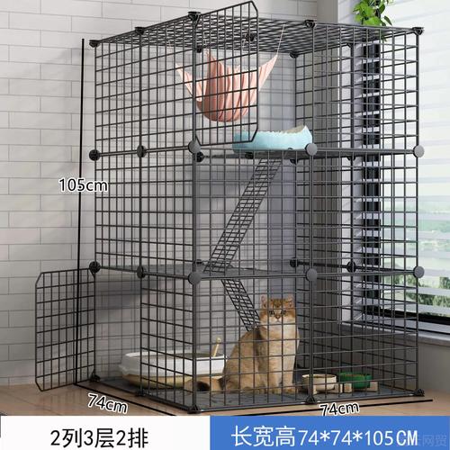 猫笼子养好还是放养好，散养猫咪好处多，安全开心最重要