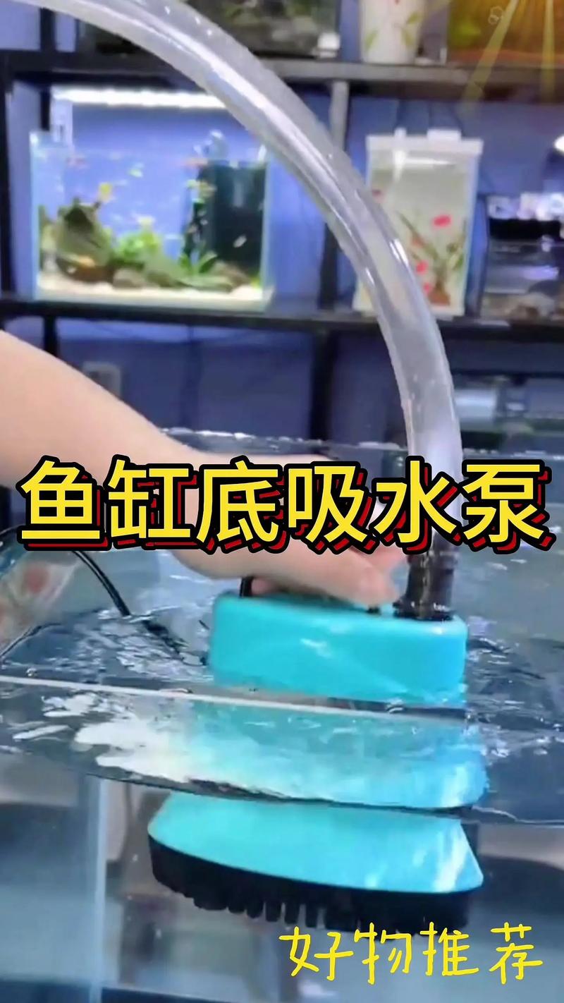 新热带鱼入缸晚上要开泵吗，新鱼到家别急着放，隔离观察是关键