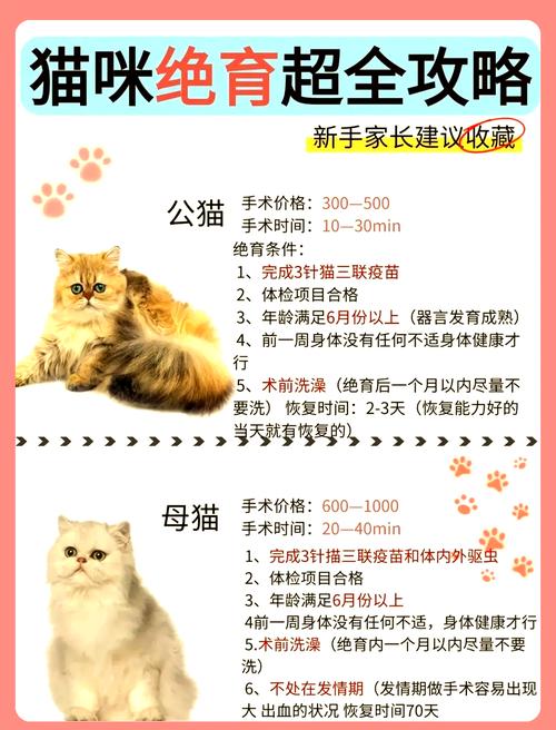 猫猫断气后多久可以埋，猫咪去世后处理方法及注意事项