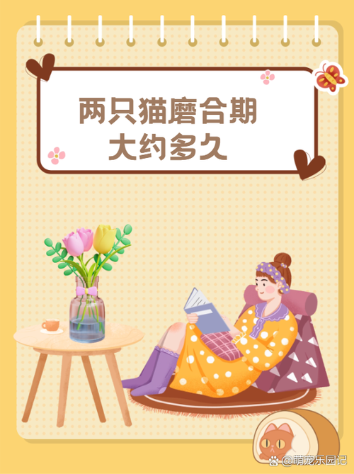 两只猫第一次见面要注意什么，猫咪初次见面正确隔离和相处方法