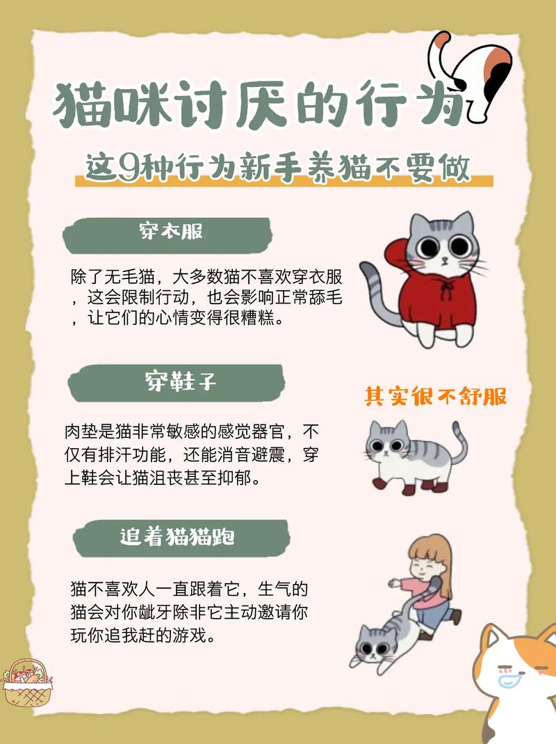 猫被关在笼子会讨厌主人吗，猫咪关笼子会烦躁，散养更快乐