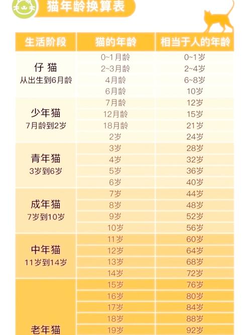 17年的猫相当于多少岁，我家17岁老猫，相当于多大年纪？