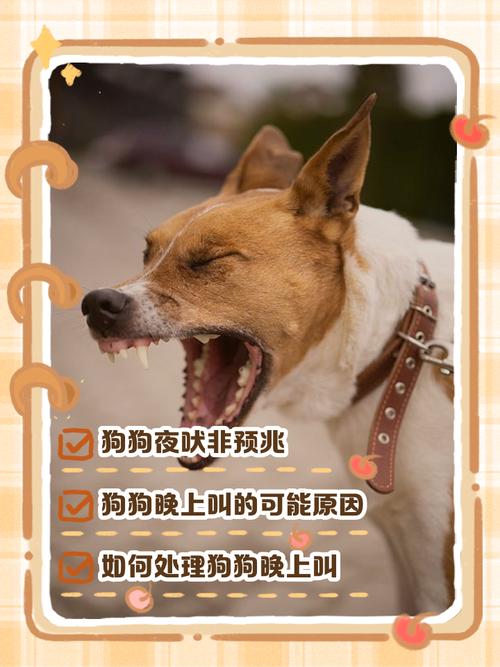 对主人吼的狗还能养吗，性格？害怕？还是试探底线？