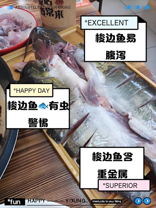 为什么湄公鱼尽量少吃，湄公河鱼污染重，龙利鱼更安全，吃鱼要留心健康