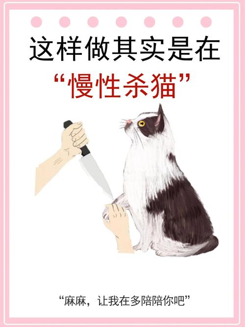 给猫关笼子里会记恨主人吗,猫咪关笼子会闹脾气?别常用,多陪它更爱你 给猫关笼子里会记恨主人吗,猫咪关笼子会闹脾气?别常用,多陪它更爱你