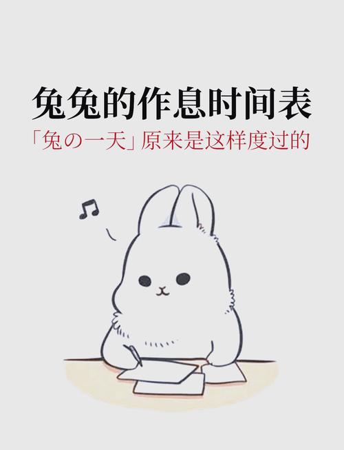 兔子的作息习惯，怕吵爱干净，需安静舒适环境