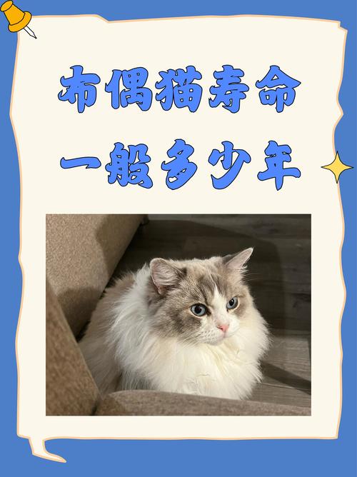 养兔利润大概多少，养兔子赚钱难，投入风险大，辛苦技术市场都得行