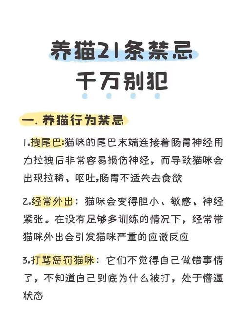 猫死在家里最忌讳什么，埋猫招晦气？猫主子死后这事儿真没那么玄乎