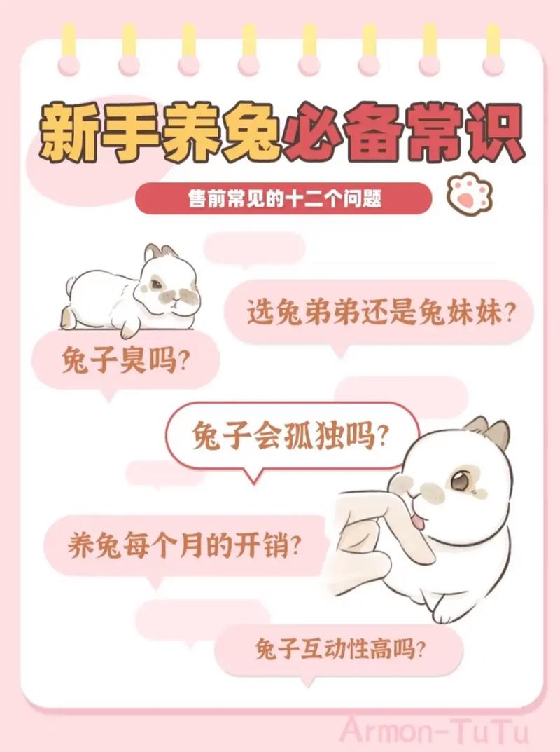 养兔会影响运气吗，养兔子能带来好运？看情况！