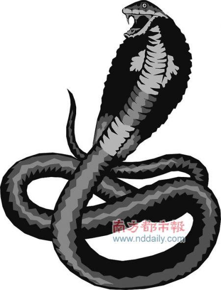 养殖的眼镜蛇杀了违法吗，保护动物，别乱杀，咬人可理解，违法后果重