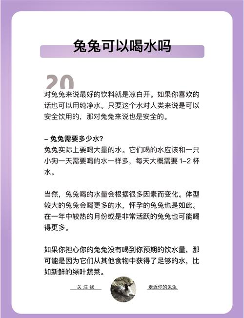 兔子养不能超过三年,养兔子不难,用心喂食和环境好,十年八岁没问题 兔子养不能超过三年,养兔子不难,用心喂食和环境好,十年八岁没问题