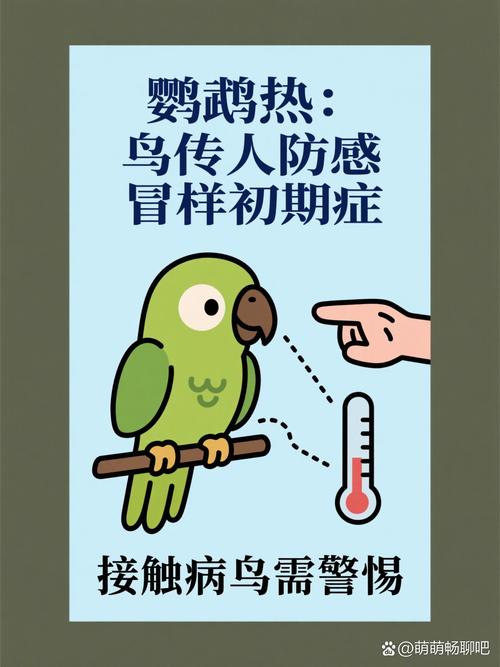 所有的鸟都携带鹦鹉热吗，注意！接触鸟类易得鹦鹉热，预防关键在卫生